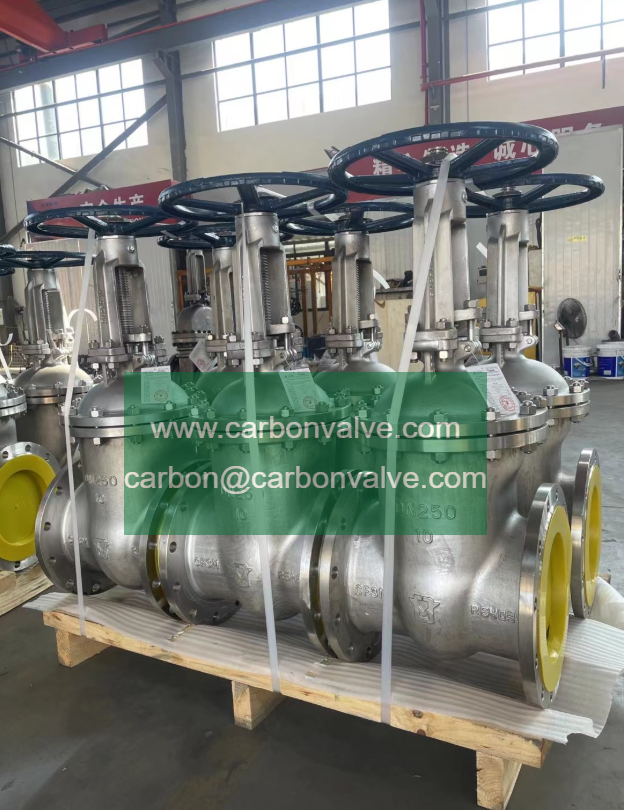 A351 CF3M gate valve