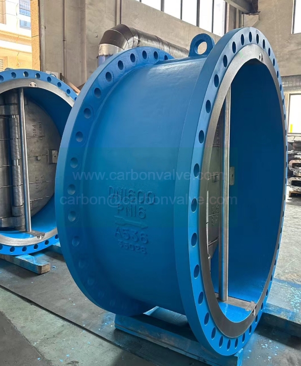 Double flanged wafer check valve