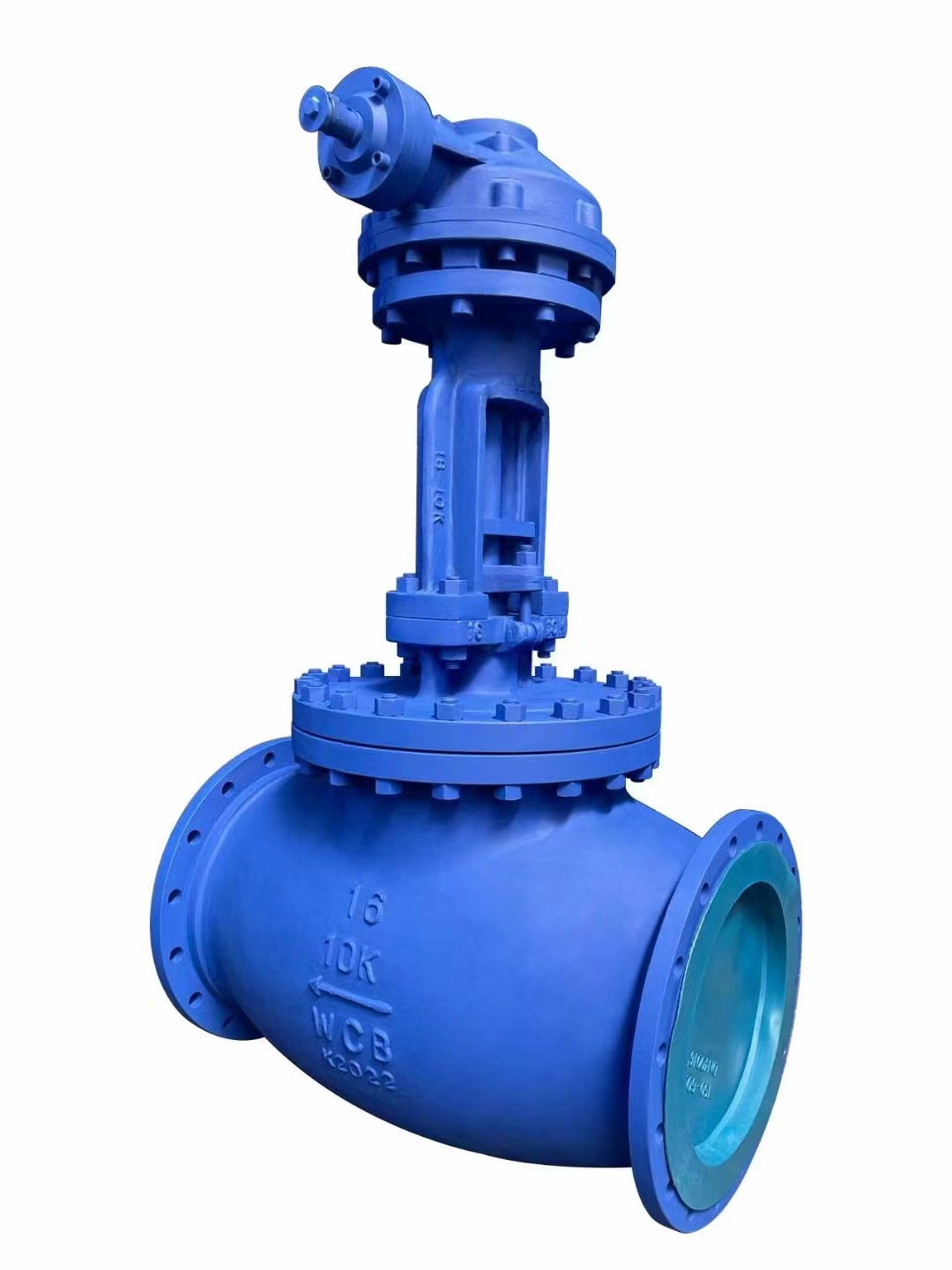 blue JIS 10K globe valve